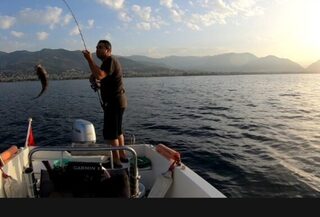 Турция, Аланья: утренняя морская рыбалка с лодки и первая барра у порта