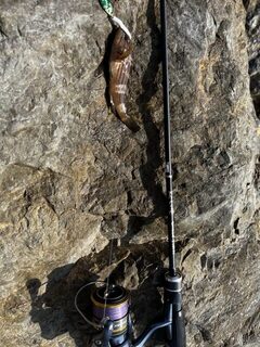 Турция, Мерсин: морская ловля с каменного пирса на камнях у устья горной реки