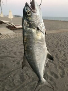 Морская рыбалка в Турции: где ловить кефаль, леврека и саргана с берега