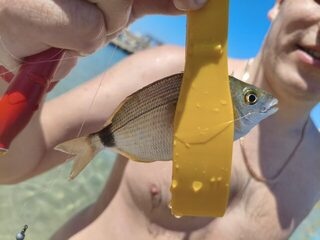 морская рыбалка в Турции: с сыном в маске и ластах прямо в море, Анталийское побережье