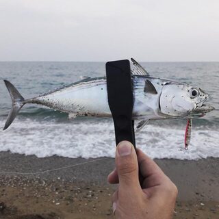 Турция, Анталийское побережье: час морской ловли на закате и рыба из скумбриевых