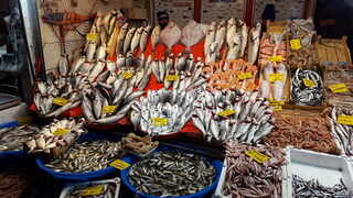 Турция, Стамбул: морская рыбалка со ставридой на зеленую мушку у Галатского моста зимой