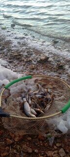 Утренняя морская рыбалка на Чёрном море: бычки и неожиданная кефаль на червя