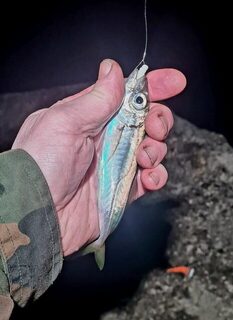 Ялта, Чёрное море: вечерняя ловля лёгким джигом с силиконовыми приманками