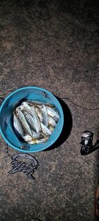 Вечерняя морская рыбалка на Чёрном море: Ялта, ставридка на буне, джиг 1 г и силикон