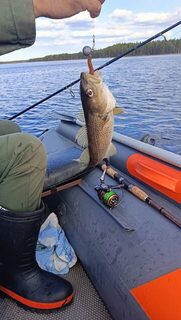 Белое море, Чупа: первый выход на воду и первая треска