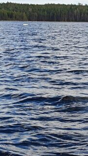 Белое море, Чупа: первый выход на воду и первая треска