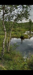 Баренцево море: морская рыбалка на глубине с пундами весом до килограмма