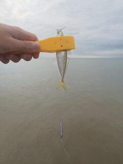 Вечерняя морская рыбалка на ставриду с пилькерами 5 и 10 г в Чёрном море