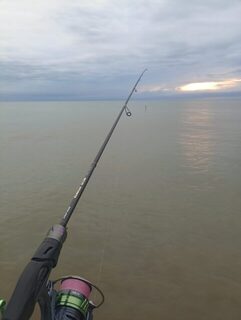 Вечерняя морская рыбалка на ставриду с пилькерами 5 и 10 г в Чёрном море