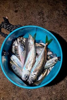 Ялта, морская рыбалка ночью на Чёрном море: дропшот, силикон и улов у берега