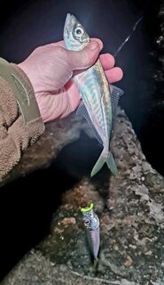 Ялта, морская рыбалка ночью на Чёрном море: дропшот, силикон и улов у берега