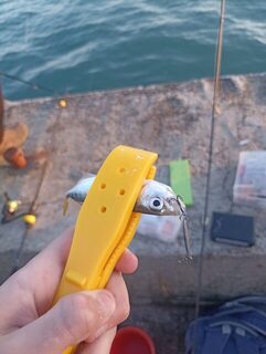 Вечерняя морская рыбалка сегодня на Чёрном море: ставрида на пилькеры, самодур и микроджиг