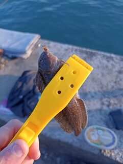 Чёрное море, Черноморское побережье: вечерняя морская рыбалка на ставку и микроджиг