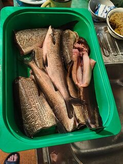 Карелия, Чупа: морская рыбалка в тумане в одиночку, десять часов в море и первый улов