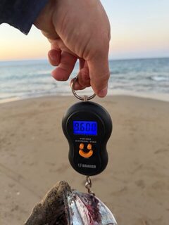 Турция, Анталийское побережье: морская рыбалка, поздний паламут на DUO Tide Minnow 175