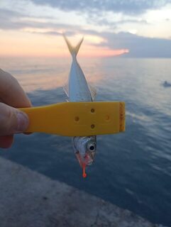 Чёрное море: морская рыбалка на ставриду перед закатом, пилькер с оранжевым силиконом