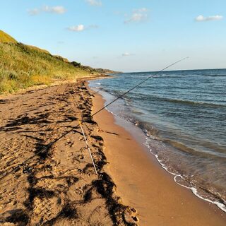 Кучугуры, Азовское море: пытался ловить среди медуз