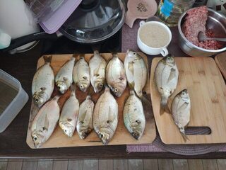 Вардане, Чёрное море: морская рыбалка с сапа на ласкиря с булером и морскими насадками