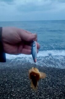 Вечерняя рыбалка в Ялте на Чёрном море с пляжа на тонущие безлопастные воблеры