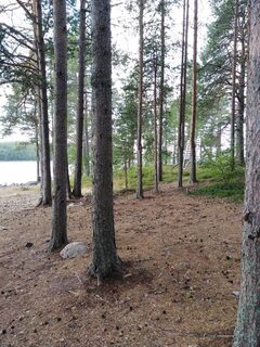 Белое море, Карелия - остров Матренин: морская рыбалка на треску и сельдь в районе Чупы
