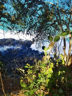 Blue Lagoon и Bukit Asah: волна, прилив и воблер 180