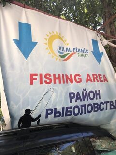 Аланья: береговая мелочь, лодка за сто долларов и Димчай