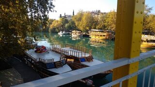 Собачки на десятом крючке и ушедший лаксан в Сиде