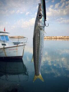 TD Minnow 90SP и рассветная баракуда в Evrenseki