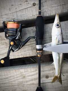TD Minnow 90SP и рассветная баракуда в Evrenseki