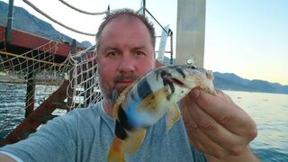 Замечание по крючку и час на отводной