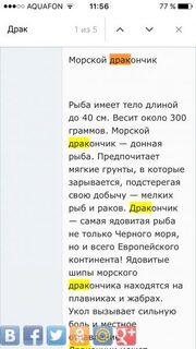 Пицунда с берега, морской дракончик и отводной на темной резине