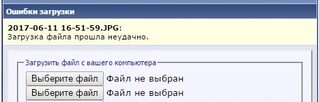 Пицунда с берега, морской дракончик и отводной на темной резине