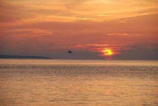 Линь и чехонь в каналах у Пересыпи вместо морского пеленгаса