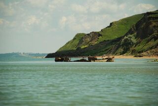 Линь и чехонь в каналах у Пересыпи вместо морского пеленгаса