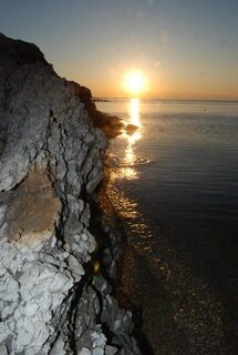 Линь и чехонь в каналах у Пересыпи вместо морского пеленгаса