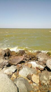Два сазана и тарань на Ейской косе после северо-западного ветра