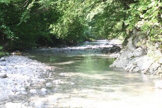 Речные выезды в Большом Сочи уперлись в высокую воду на Аше, а по кавказскому голавлю сработал нахлыст