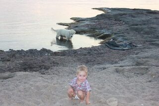 Меганом с палатками: чистая вода, рыба с гавайкой, донка на краба и слабый сарган