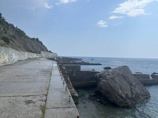Понизовка, Marukyu и первые рыбы Чёрного моря