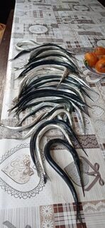 Сарган, окунь и отходящий карась в ноябрьской Пицунде