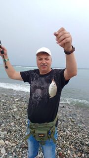 Карась у Бзыби и мормора в Пицунде