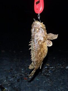 Море вместо плавней для спиннинга в Анапе