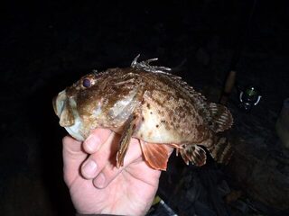 Море вместо плавней для спиннинга в Анапе