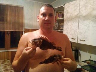 Красная нимфа и две скорпены на анапском волнорезе
