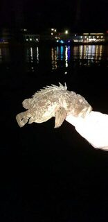 Ерш на уху с чебурашкой 1 грамм