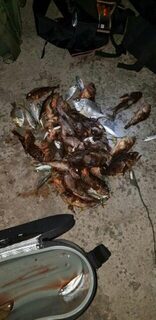 Ерш на уху с чебурашкой 1 грамм