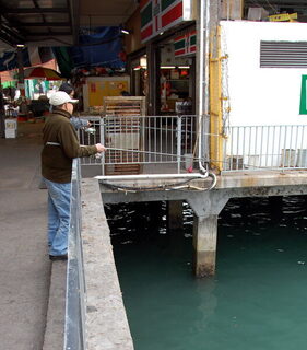 North Point Ferry Pier в Гонконге: групперы у 7-Eleven, сардина и багрилки 200 грамм