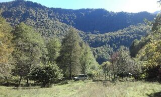 Кодор и соседние озера: форель на червя и шестиметровая поплавочка