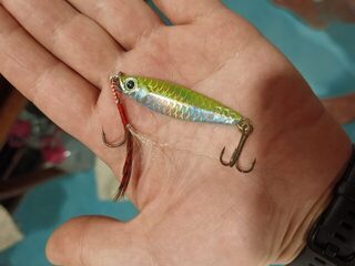 Алутгама на Шри-Ланке: бетонная стенка, para-fish, группер и камбала на курицу